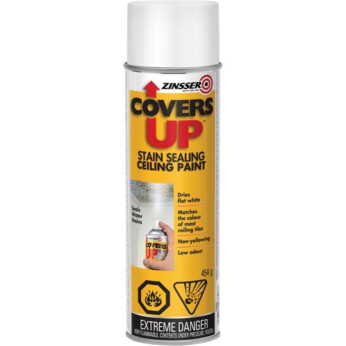 Covers Up Stain Sealing Ceiling Paint, Aerosol Can, White