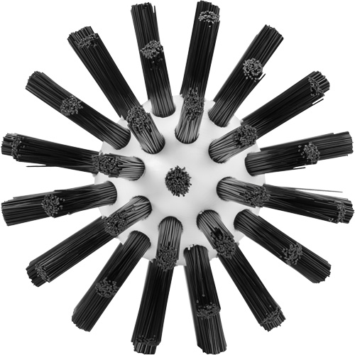 JQ468