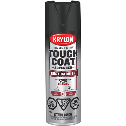 Tough Coat Advanced Paint with Rust Barrier™ Technology, Black, Flat, 425 g, Aerosol Can
