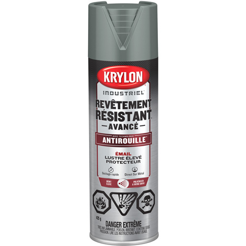 Tough Coat Advanced Paint with Rust Barrier™ Technology, Machine Grey, High-Gloss, 425 g, Aerosol Can