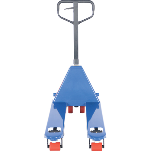 MN365