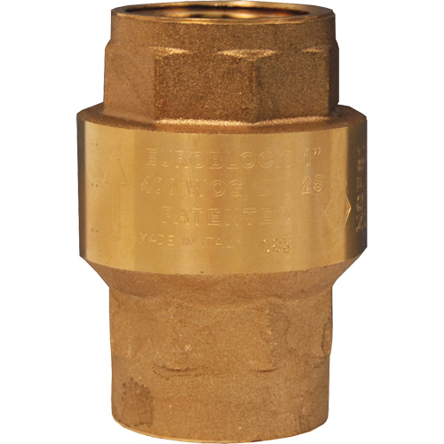 Spring-Loaded Check Valve