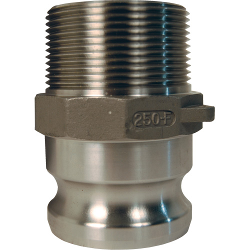 Global Cam & Groove Adapter, Stainless Steel, Type F, 1", Male NPT, 250 PSI