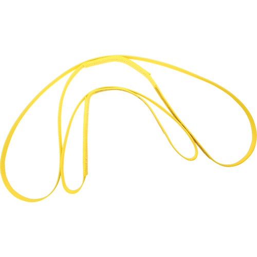 DBI-SALA Anchor Sling, Sling, Temporary Use