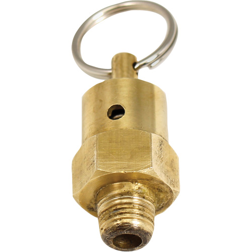Viton® Pressure Relief Valve