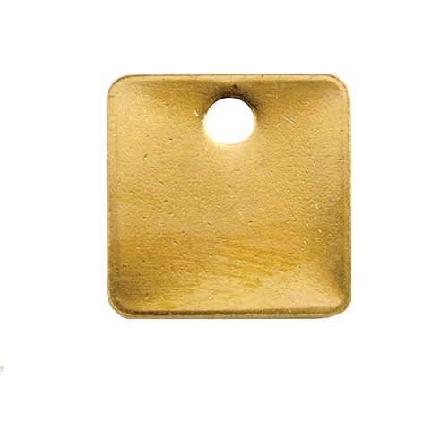 Blank Tags, Brass, 1.25" dia - Blank Tag - SA961
