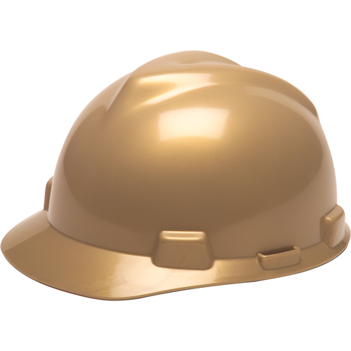 V-Gard<sup>®</sup> Protective Caps - Fas-Trac<sup>®</sup> Suspension, Ratchet Suspension, Gold