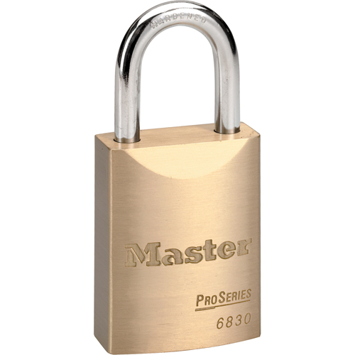 Pro Series® Padlock, Keyed Alike, Brass Coating, 1-9/16" Width