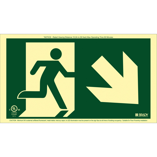 BradyGlo® Running Man Exit Sign with Down Right Arrow, 8-1/2" x 15", Plastic, Pictogram