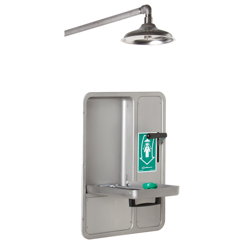 Eye/Face Wash and Shower, Ceiling-Mount