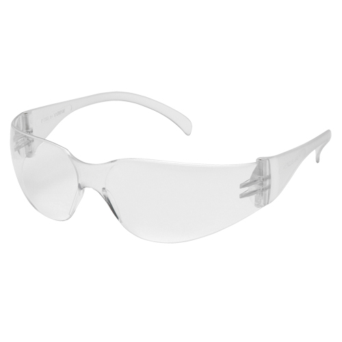 Intruder Safety Glasses, Clear Lens, Anti-Fog, ANSI Z87+/Meets/Exceeds CSA Z94.3