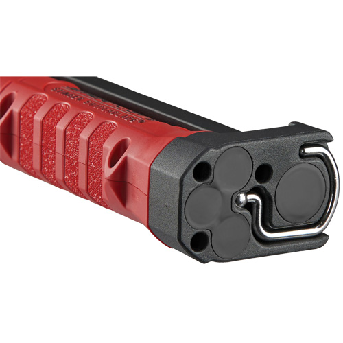 SGV313