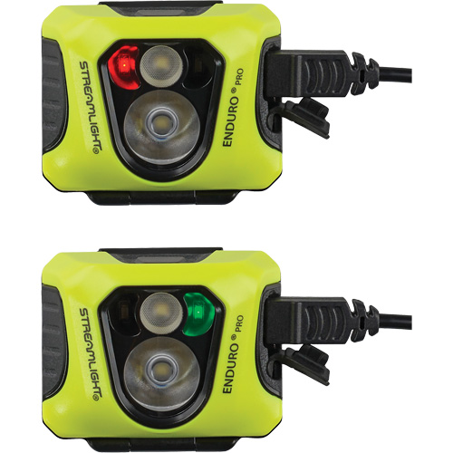 SGV317