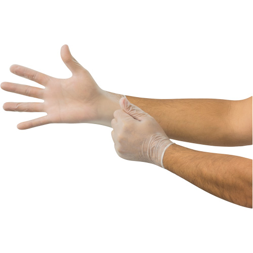 MicroFlex® Disposable Gloves, Small, Vinyl, 2.8-mil, Powder-Free, Clear