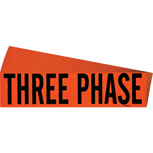 "Three Phase" Conduit & Voltage Labels, 2-1/4" x 9", Cloth/Vinyl, English