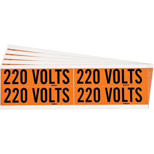 "220 Volts" Conduit & Voltage Labels, 1-1/8" x 4-1/8", Cloth/Vinyl, English