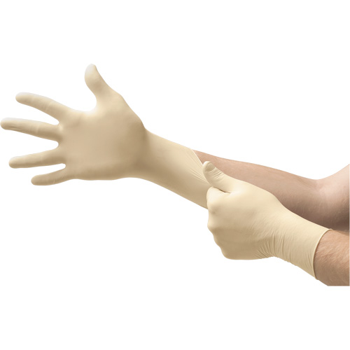 AccuTech<sup>®</sup> Disposable Gloves, 7.5, Latex, 9.1-mil, Powder-Free, Natural