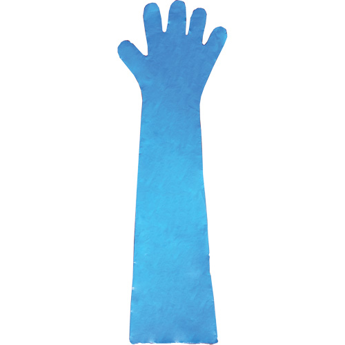 Disposable Gloves, Polyethylene, Powder-Free, Blue