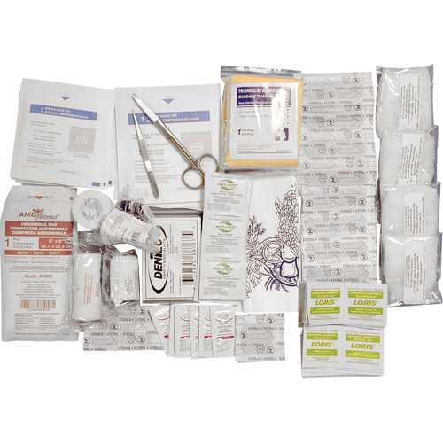 Shield™ Basic First Aid Kit Refill, Meets CSA Z1220-17 Type 2 Low-Risk Environment, Small (2-25 Workers)