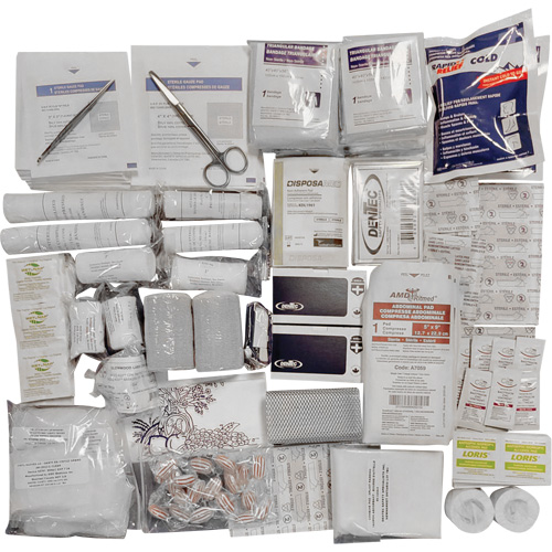 Shield™ Intermediate First Aid Kit Refill, Meets CSA Z1220-17 Type 3 High-Risk Environment, Medium (26-50 Workers)