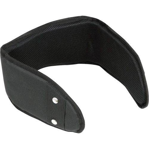 WB-6006 Padded Lumbar Support for Belt - Universal