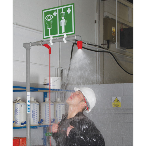 Combination Shower with Closed ABS Bowl & Top Inlet, Pedestal