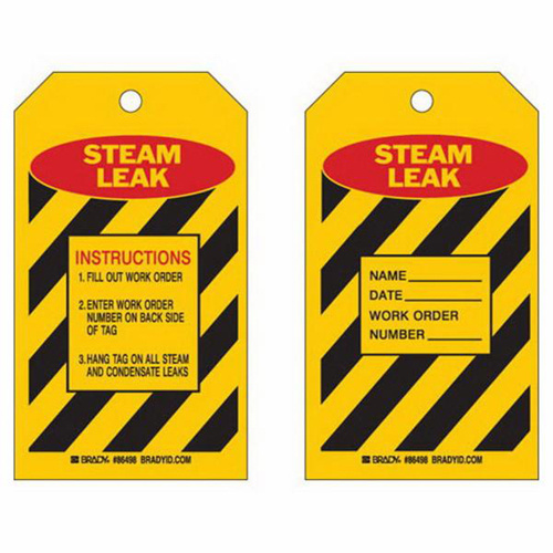 "Steam Leak" Inspection Tags, Polyester, 4" W x 7" H, English