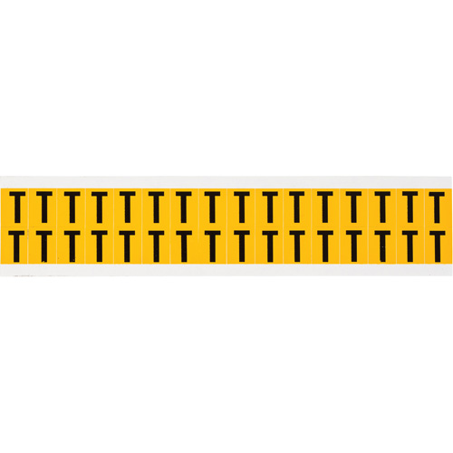 Individual Number & Letter Labels, T, 5/8" H, Black on Yellow