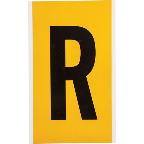 Individual Number & Letter Label, R, 6" H, Black on Yellow