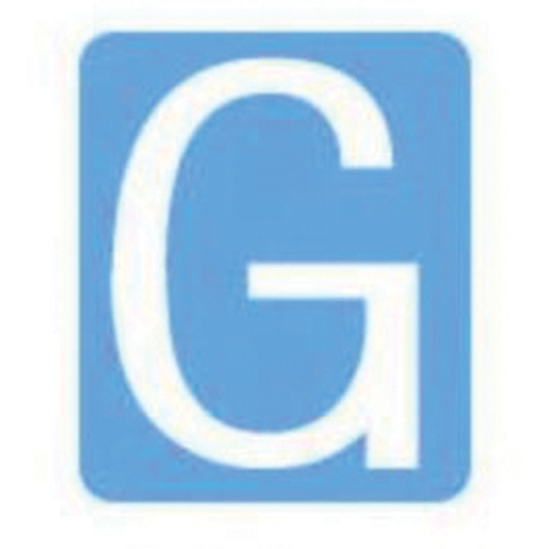 Quick-Align® Individual Gothic Number and Letter Labels, G, 2" H, White