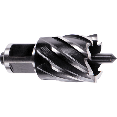Weldon Shank Annular Cutter, 1" Diameter, High Speed Steel, 1" Depth of Cut, 3/4" Shank