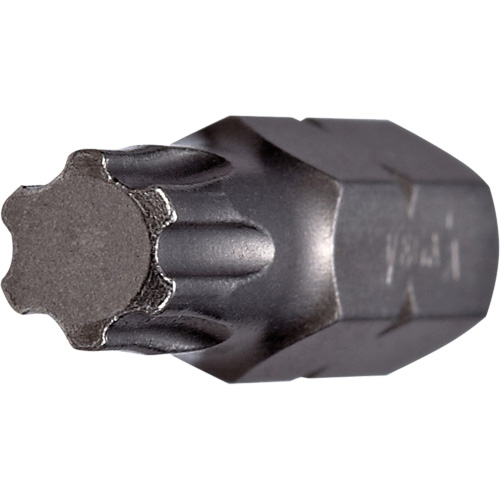 Insert Bit, Torxplus, 27, 1/4
