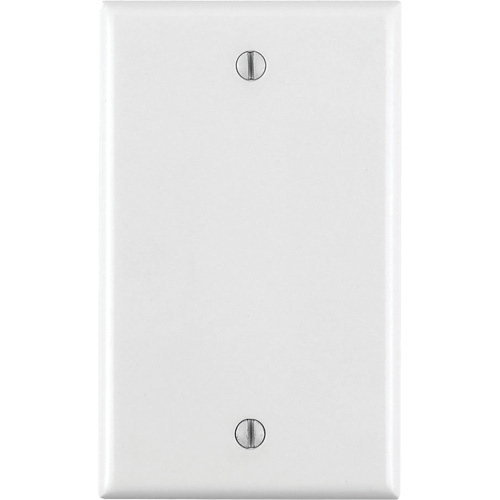 Blank Wall Plate