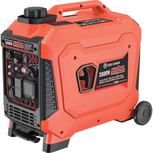 Dual Fuel Gasoline & Propane Digital Inverter Generator