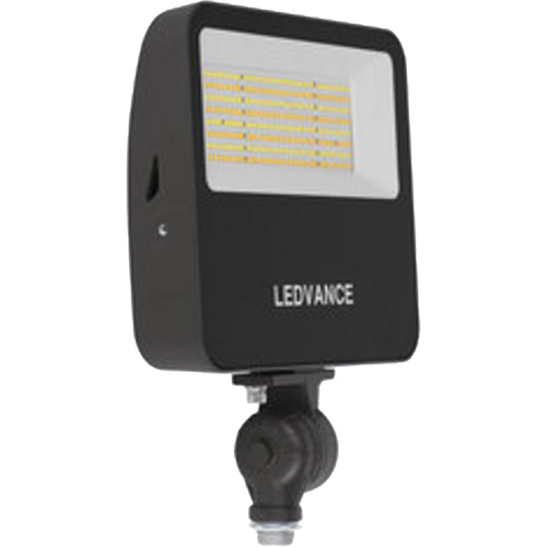 Flood Light