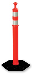 FBS301
