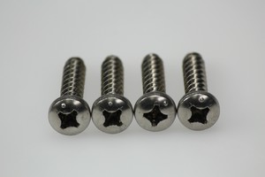 Accessories: Stainless Steel Screws