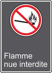 CSA Safety Sign: Flamme Nue Interdite