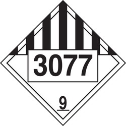 68806