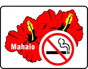 NO SMOKING SIGN - HAWAII