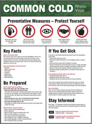 Safety Poster: Common Cold Rhino-Virus