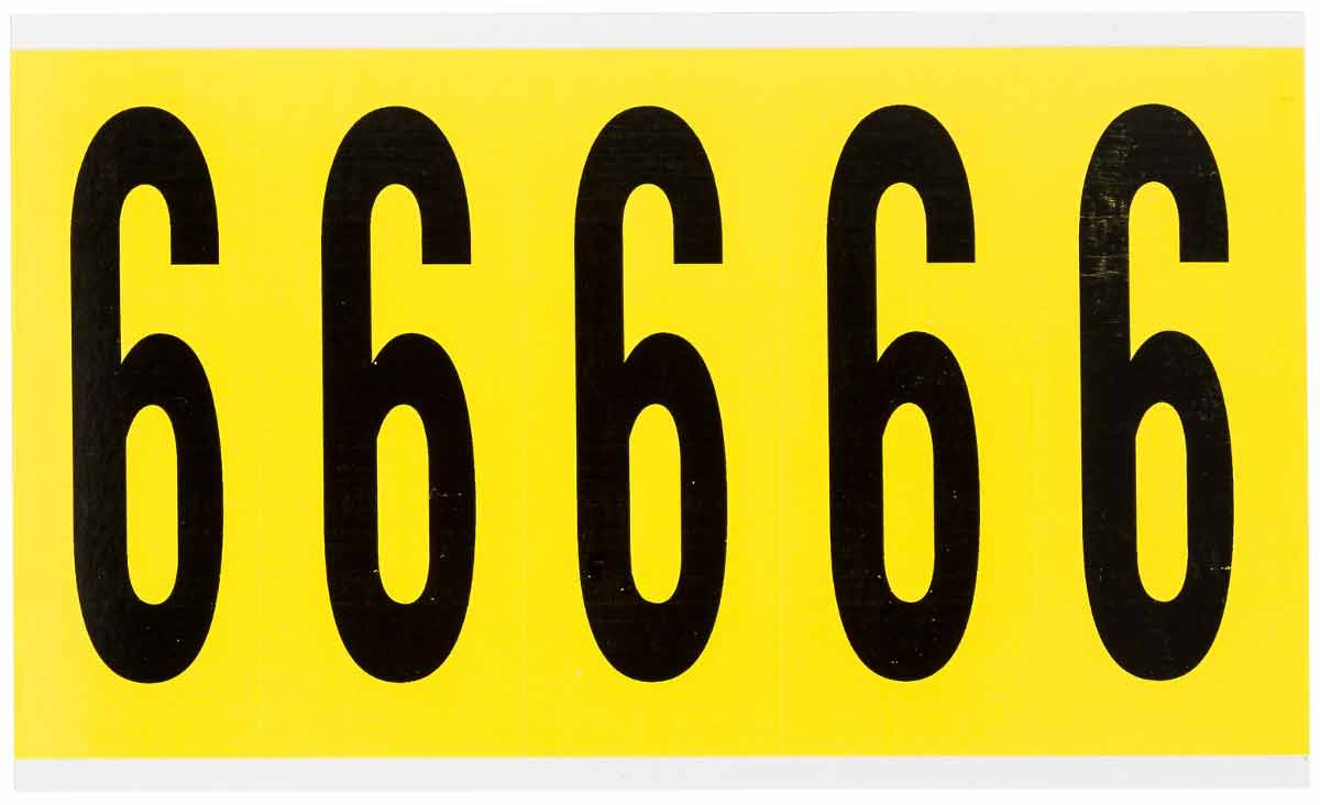 6