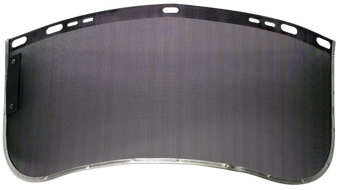 Mesh screen visor