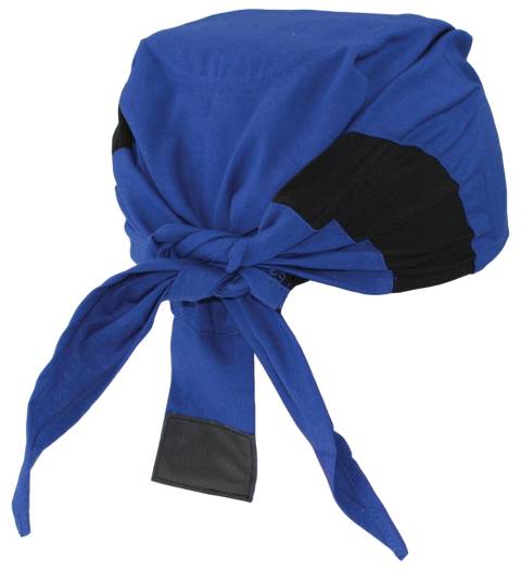 Head shade